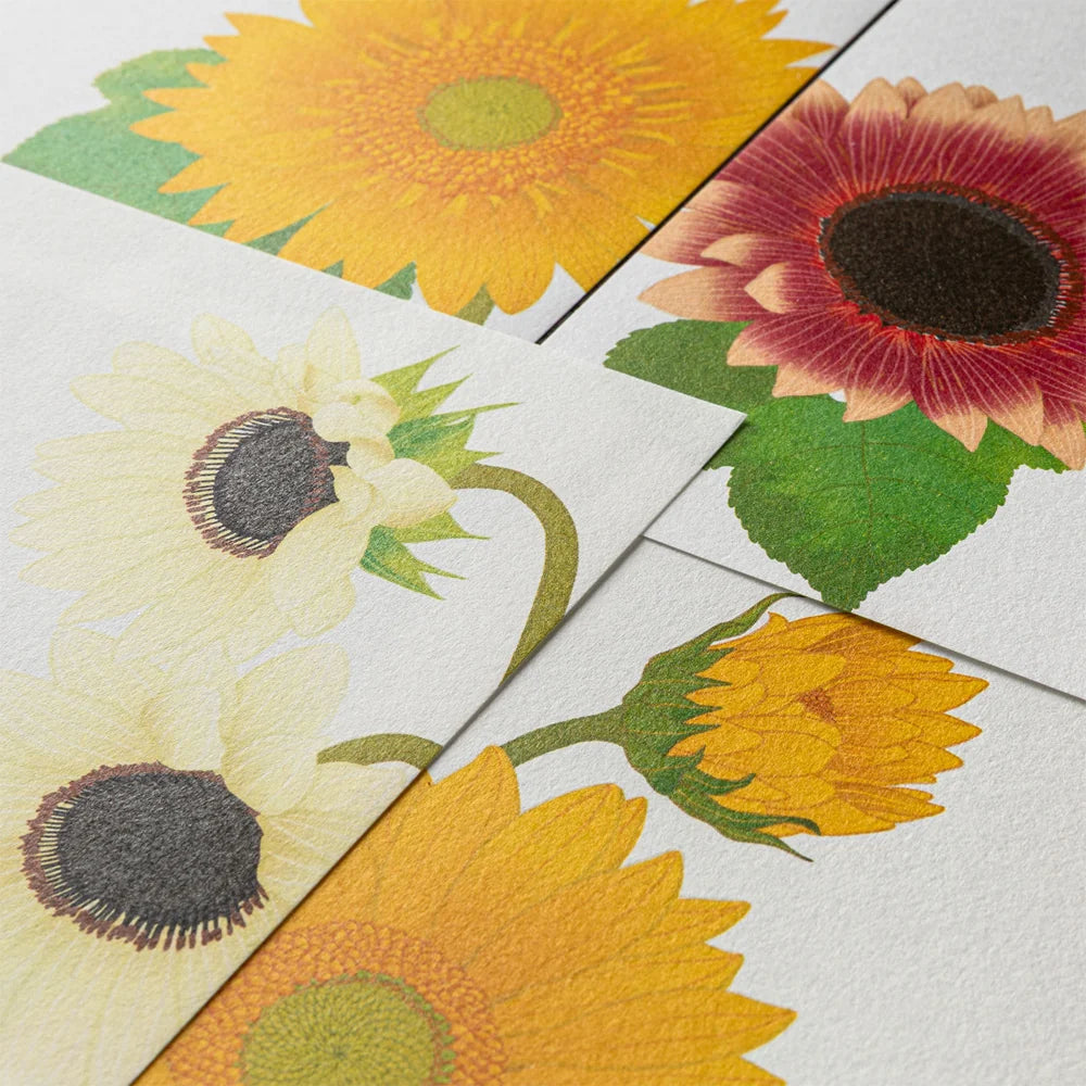 Sunflower Letter Pad