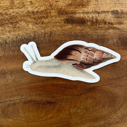 Pergamo Paper Goods sticker Snail Paper Seahorse Tropical Themed Stickers: Pergamo Paper Goods